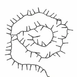 Maisons Du Monde Guirlandes Et Cimiers Guirlande électrique L.90