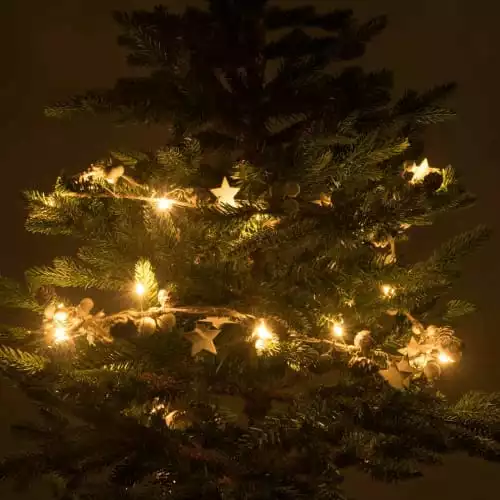 Maisons Du Monde Guirlandes Et Cimiers Guirlande Lumineuse 20 LED étoiles Et Pommes De Pin L220 2 Maisons Du Monde Guirlandes Et Cimiers Guirlande Lumineuse 20 LED étoiles Et Pommes De Pin L220 – Image 2